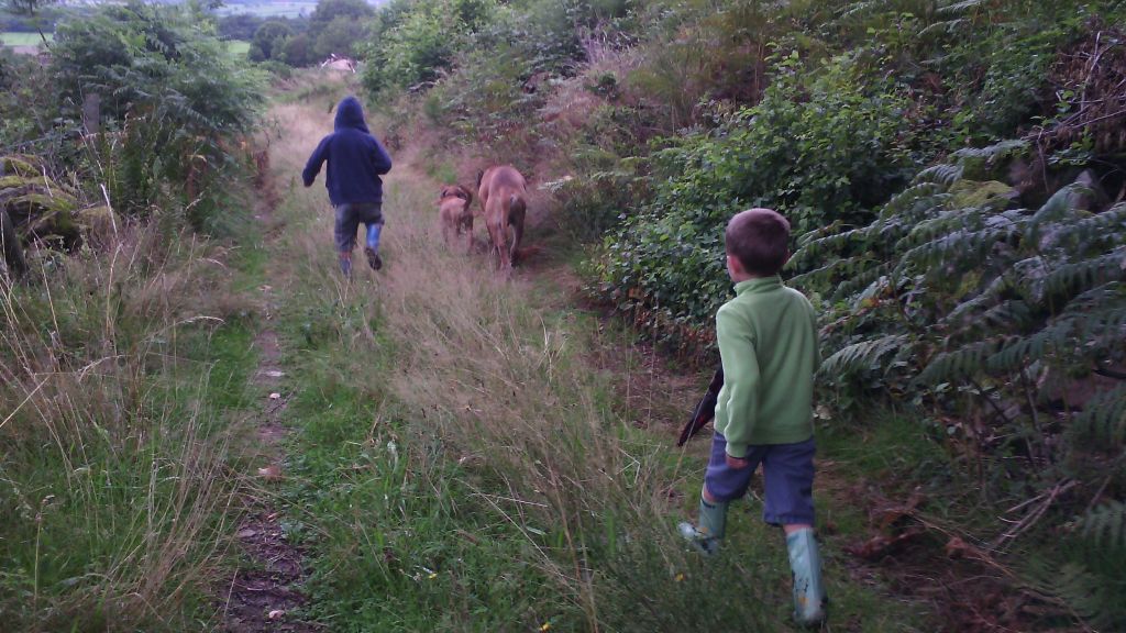 Moments de vie en famille